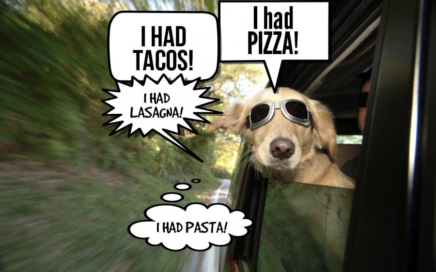I had PIZZA!  | phrase.it