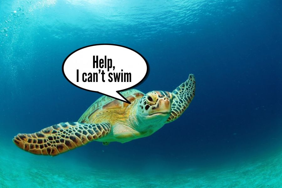 Help, I can't swim  | phrase.it
