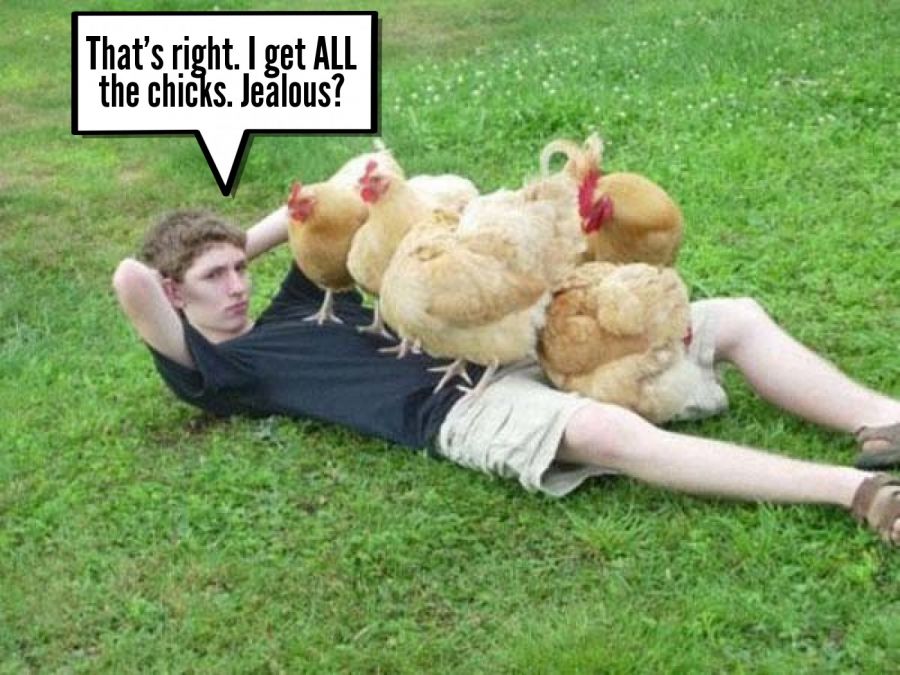 That's right. I get ALL the chicks. Jealous?  | phrase.it