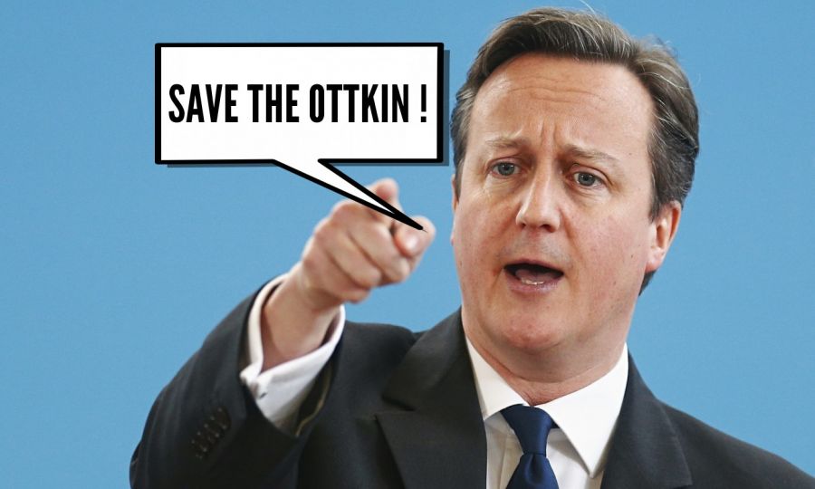 SAVE THE OTTKIN !  | phrase.it