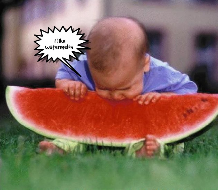 i like watermelon  | phrase.it